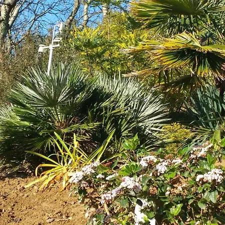 Lägenhet Les Agapanthes Avec Piscine Et Chauffee Dans Votre