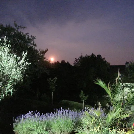 Les Agapanthes Avec Piscine Et Chauffee Dans Votre Hardelot-Plage