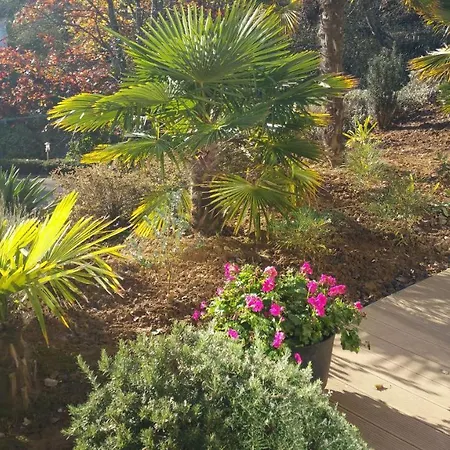 Les Agapanthes Avec Piscine Et Chauffee Dans Votre *